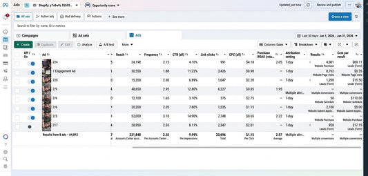 Facebook Campaign Setup + Ad Batch 1